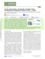 Growth, polymorphism, and spatially controlled surface immobilization of biotinylated variants of IAPP(21-27) fibrils