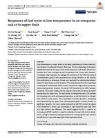 Responses of leaf traits to low temperature in an evergreen oak at its upper limit