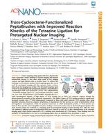 Trans-cyclooctene-functionalized peptobrushes with improved reaction kinetics of the tetrazine ligation for pretargeted nuclear imaging