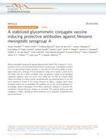 Publisher correction: a stabilized glycomimetic conjugate vaccine inducing protective antibodies against Neisseria meningitidis serogroup A