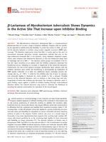 β-Lactamase of mycobacterium tuberculosis shows dynamics in the active site that increase upon inhibitor binding