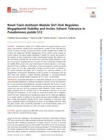 Novel toxin-antitoxin module slvT-slvA regulates megaplasmid stability and incites solvent tolerance in Pseudomonas putida S12