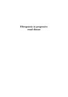 Fibrogenesis in progressive renal disease
