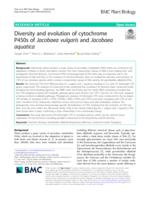 Diversity and evolution of cytochrome P450s of Jacobaea vulgaris and Jacobaea aquatica
