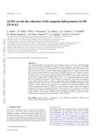 ALMA reveals the coherence of the magnetic field geometry in OH 231.8+4.2