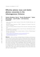 Effective photon mass and (dark) photon conversion in the inhomogeneous Universe