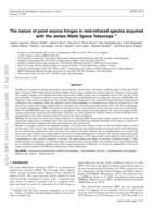 The nature of point source fringes in mid-infrared spectra acquired with the James Webb Space Telescope