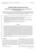 The MUSE Hubble Ultra Deep Field Survey. XIII. Spatially resolved spectral properties of Lyman haloes around star-forming galaxies at z > 3