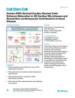 Human-iPSC-derived cardiac stromal cells enhance maturation in 3D cardiac microtissues and reveal non-cardiomyocyte contributions to heart disease