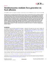 Hemidesmosomes modulate force generation via focal adhesions