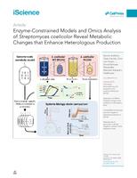 Enzyme-constrained models and omics analysis of Streptomyces coelicolor reveal metabolic changes that enhance heterologous production