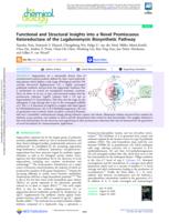 Functional and structural insights into a novel promiscuous ketoreductase of the lugdunomycin biosynthetic pathway