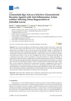 Ginsenoside Rg1 acts as a selective glucocorticoid receptor agonist with anti-inflammatory action without affecting tissue regeneration in zebrafish larvae