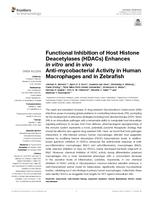 Functional inhibition of host histone deacetylases (HDACs) enhances in vitro and in vivo anti-mycobacterial activity in human macrophages and in zebrafish