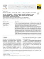 Human epicardium-derived cells reinforce cardiac sympathetic innervation