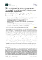 The development of the ascending aortic wall in tricuspid and bicuspid aortic valve: a process from maturation to degeneration