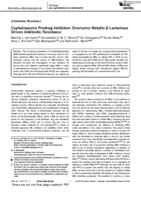 Cephalosporin prodrug inhibitors overcome metallo‐β‐lactamase driven antibiotic resistance