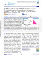 Small molecule carboxylates inhibit metallo-β-lactamases and resensitize carbapenem-resistant bacteria to meropenem