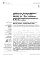 Isolation and characterization of shewanella phage thanatos infecting and lysing shewanella oneidensis and promoting nascent biofilm formation