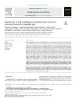 Identification of SclB, a Zn(II)2Cys6 transcription factor involved in sclerotium formation in Aspergillus niger