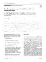 A novel seed plants gene regulates oxidative stress tolerance in arabidopsis thaliana