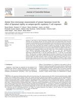 Atomic force microscopy measurements of anionic liposomes reveal the effect of liposomal rigidity on antigen-specific regulatory T cell responses