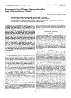 Characterization of Human Glucocerebrosidase from Different Mutant Alleles