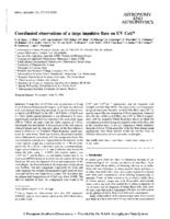 Coordinated observations of a large impulsive flare on UV Ceti