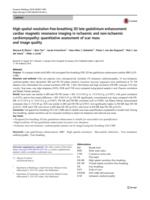 High spatial resolution free-breathing 3D late gadolinium enhancement cardiac magnetic resonance imaging in ischaemic and non-ischaemic cardiomyopathy: quantitative assessment of scar mass and image quality