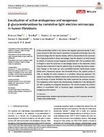 Localization of active endogenous and exogenous beta-glucocerebrosidase by correlative light-electron microscopy in human fibroblasts