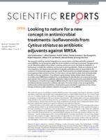 Looking to nature for a new concept in antimicrobial treatments: isoflavonoids from Cytisus striatus as antibiotic adjuvants against MRSA