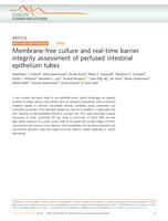 Membrane-free culture and real-time barrier integrity assessment of perfused intestinal epithelium tubes