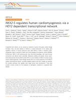 NKX2-5 regulates human cardiomyogenesis via a HEY2 dependent transcriptional network