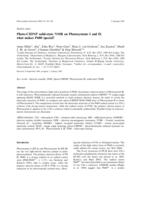 Photo-CIDNP solid-state NMR on photosystems I and II: What makes P680 special?