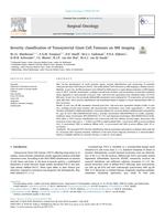 Severity classification of Tenosynovial Giant Cell Tumours on MR imaging