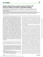 Single-molecule force spectroscopy on histone h4 tail cross-linked chromatin reveals fiber folding