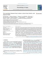 The association between brain volume, cortical brain infarcts, and physical frailty