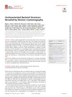 Uncharacterized Bacterial Structures Revealed by Electron Cryotomography