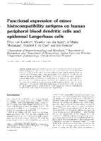 Functional expression of minor Histocompatibility antigens on human peripheral blood dendritic cells and epidermal Langerhans cells.