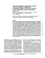 Minor Histocompatibility antigen-specific cytotoxic T cell lines, capable of lysing human hematopoietic progenitor cells can be generated in vitro by stimulation with HLA-identical bone marrow cells.