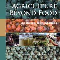 Agriculture Beyond Food: Experiences from Indonesia