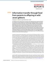 Information transfer through food from parents to offspring in wild Javan gibbons