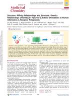 Structure-Affinity Relationships and Structure-Kinetics Relationships of Pyrido[2,1-f]purine-2,4-dione Derivatives as Human Adenosine A(3) Receptor Antagonists