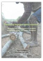 Translating the sustainability transition: the creation and implementation of a translocal environmental project, from Paris to Madagascar