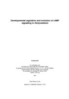 Developmental regulation and evolution of cAMP signalling in Dictyostelium