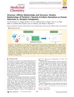 Structure-Affinity Relationships and Structure-Kinetics Relationships of Pyrido[2,1-f]purine-2,4-dione Derivatives as Human Adenosine A(3) Receptor Antagonists