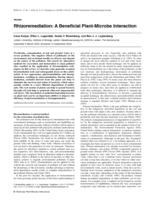 Rhizoremediation: A beneficial plant-microbe interaction