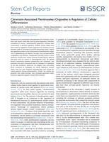 Chromatin-associated membraneless organelles in regulation of cellular differentiation