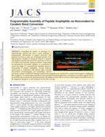 Programmable assembly of peptide amphiphile via noncovalent-to-covalent bond conversion