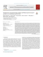 Simultaneous automated image analysis and Raman spectroscopy of powders at an individual particle level